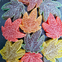 Loaded Leaf Gummies 200mg 3.webp