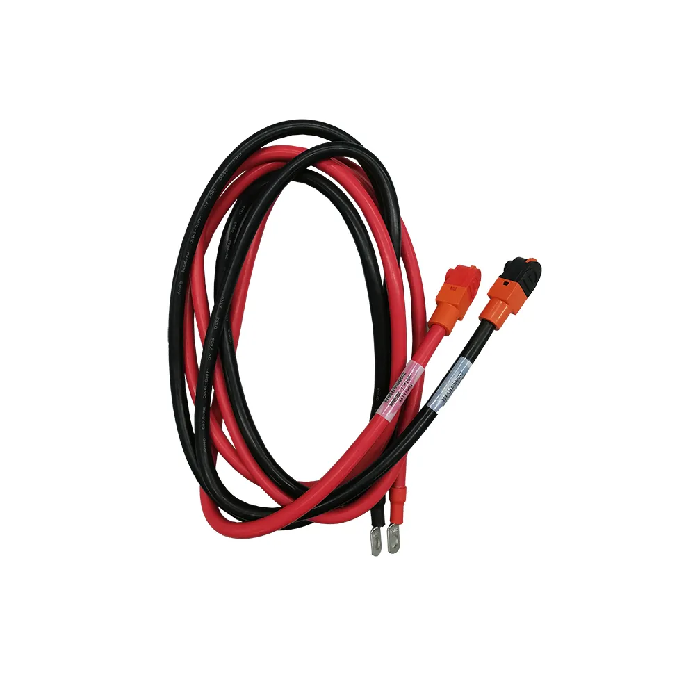DYNESS Power cable and Inverter need one per set of batteries.   1 x Cable per Battery Bank